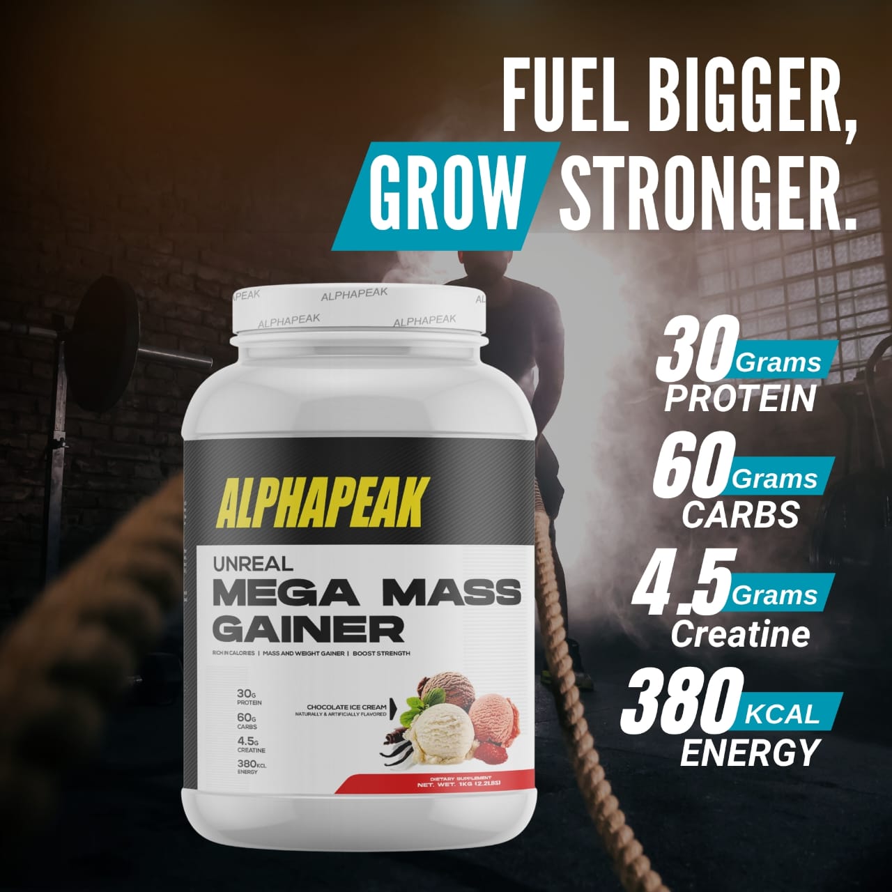 ALPHAPEAK Unreal Mega Mass Gainer